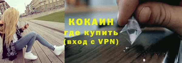 индика Богородицк