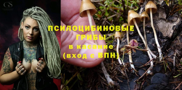 стаф Бугульма