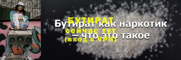 индика Богородицк