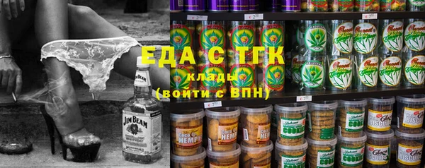 индика Богородицк