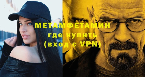 индика Богородицк