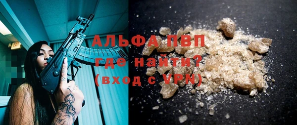 индика Богородицк