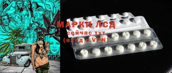 индика Богородицк