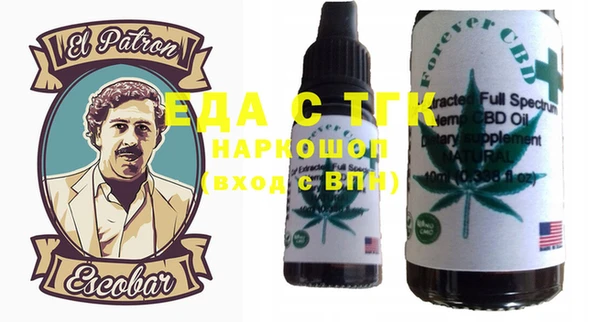 индика Богородицк