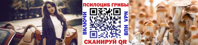 Псилоцибиновые грибы Magic Shrooms  Грозный 