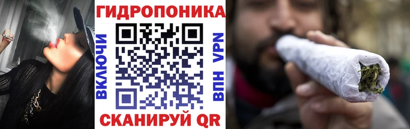 мега как зайти  Грозный  Марихуана тримм 